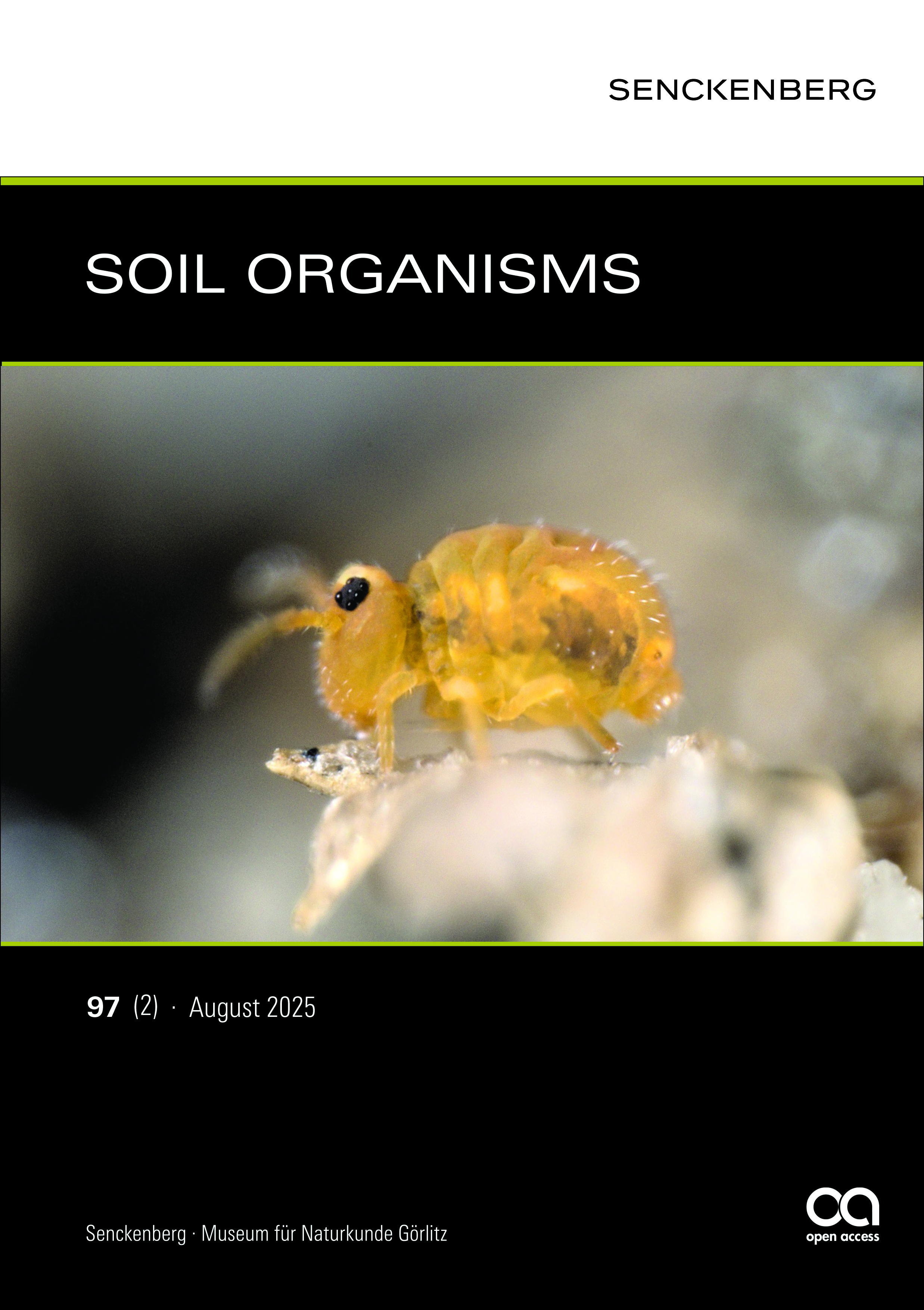 Cover: Sminthurinus reticulatus  Photo: Clément Schneider